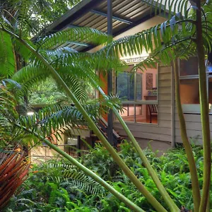 chambers-wildlife-rainforest-lodges.queenslandhotels.net/